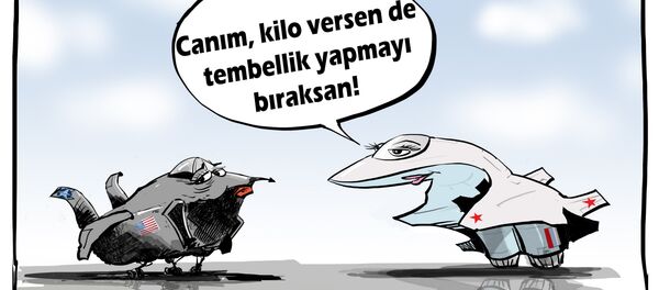 Karikatür - Sputnik Türkiye