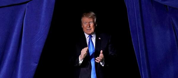 Donald Trump - Sputnik Türkiye