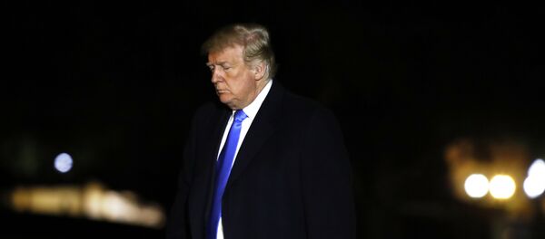 ABD Başkanı Donald Trump - Sputnik Türkiye