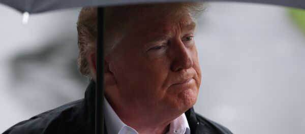 Donald Trump - Sputnik Türkiye