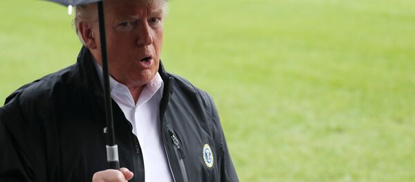 Donald Trump - Sputnik Türkiye