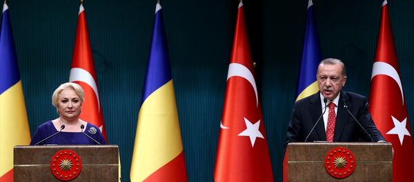 Dancila, Erdoğan - Sputnik Türkiye
