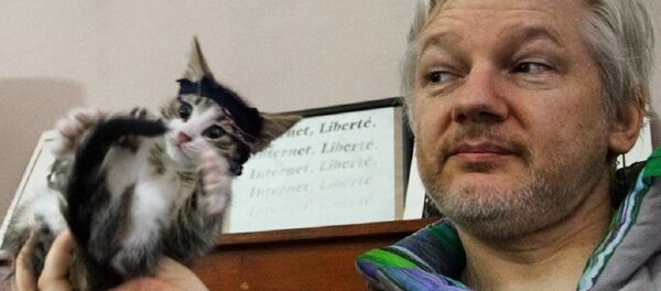 Julian Assange - Sputnik Türkiye