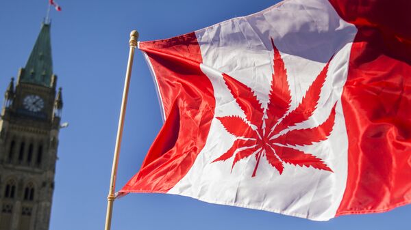 Kanada'da neredeyse 100 yıllık marihuana yasağı geceyarısı itibarıyla sona erdi. Uruguay'ın ardından eğlence amaçlı marihuana tüketimini ve satışını yasallaştıran ikinci ülke olan Kanada, artık bu düzenlemeyi yapan ilk Batı ülkesi ve en büyük yasal marihuana pazarı konumunda. 2015'teki seçim kampanyasında söz konusu düzenlemeyi hayata geçirme vaadinde bulunan ve bu sözünü yerine getiren Kanada Başbakanı Justin Trudeau yasanın yürülüğe girmesinden önce yaptığı açıklamada Marihuanayı sağlığımız için iyi olduğu gerekçesiyle yasallaştırmıyoruz. Bunu yapıyoruz çünkü marihuananın çocuklarımız için iyi olmadığını biliyoruz. Çocuklarımızı korumak ve organize suç örgütlerinin elde ettiği karları yok etmek ya da önemli ölçüde azaltmak için daha iyi iş çıkarmamız gerektiğini biliyoruz dedi. - Sputnik Türkiye
