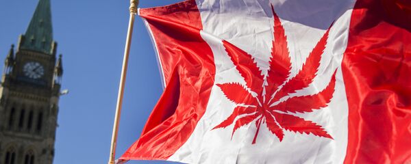 Kanada'da neredeyse 100 yıllık marihuana yasağı geceyarısı itibarıyla sona erdi. Uruguay'ın ardından eğlence amaçlı marihuana tüketimini ve satışını yasallaştıran ikinci ülke olan Kanada, artık bu düzenlemeyi yapan ilk Batı ülkesi ve en büyük yasal marihuana pazarı konumunda. 2015'teki seçim kampanyasında söz konusu düzenlemeyi hayata geçirme vaadinde bulunan ve bu sözünü yerine getiren Kanada Başbakanı Justin Trudeau yasanın yürülüğe girmesinden önce yaptığı açıklamada Marihuanayı sağlığımız için iyi olduğu gerekçesiyle yasallaştırmıyoruz. Bunu yapıyoruz çünkü marihuananın çocuklarımız için iyi olmadığını biliyoruz. Çocuklarımızı korumak ve organize suç örgütlerinin elde ettiği karları yok etmek ya da önemli ölçüde azaltmak için daha iyi iş çıkarmamız gerektiğini biliyoruz dedi. - Sputnik Türkiye