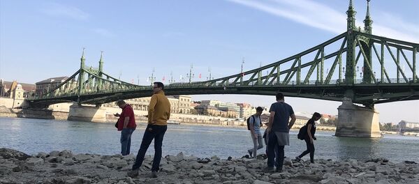 Macaristan'ın başkenti Budapeşte'de Tuna Nehri'nin su seviyesi rekor kırdı - Sputnik Türkiye