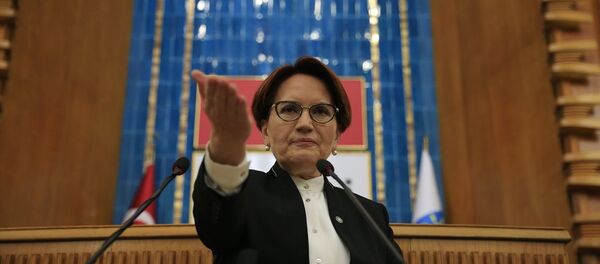 Meral Akşener Meral Akşener - Sputnik Türkiye