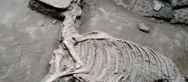 Pompeii - Sputnik Türkiye