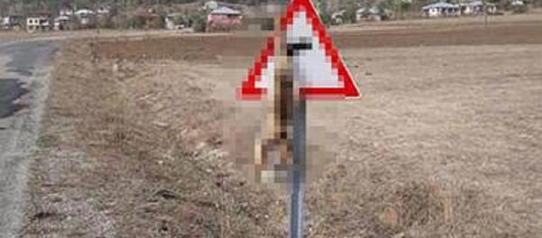 Tilkiyi öldürüp trafik levhasına astılar - Sputnik Türkiye