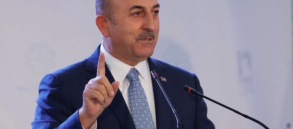 Mevlüt Çavuşoğlu - Sputnik Türkiye