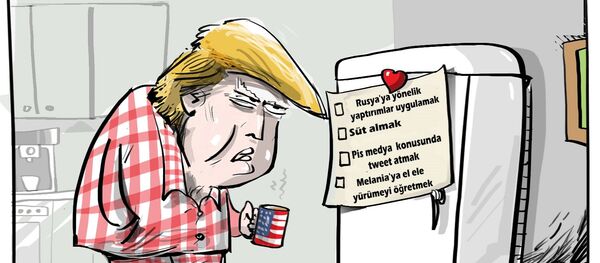 Karikatür - Sputnik Türkiye