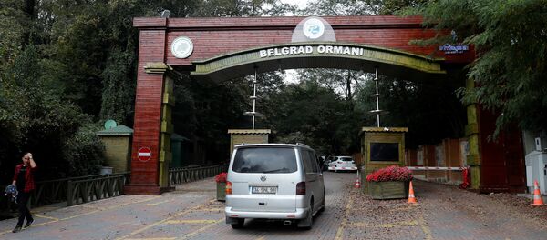 Kaşıkçı'nın cesedinin arandığı yerlerden biri Belgrad Ormanları - Sputnik Türkiye