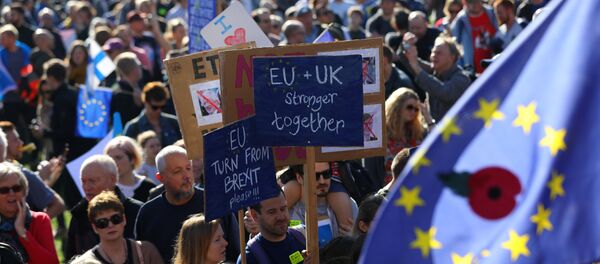 Londra'da Brexit karşıtı yürüyüşü yarım milyondan fazla kişi katıldı - Sputnik Türkiye