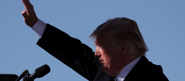 ABD Başkanı Donald Trump - Sputnik Türkiye