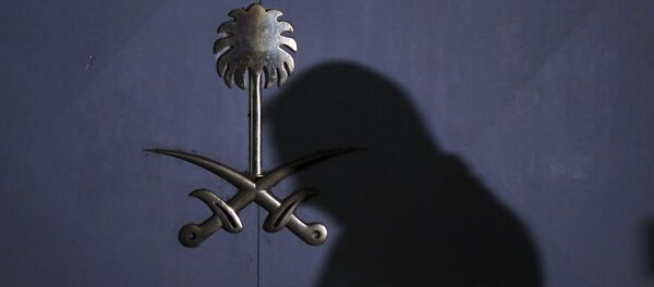 Cemal Kaşıkçı - Sputnik Türkiye