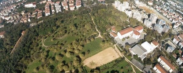 Validebağ Korusu - Sputnik Türkiye