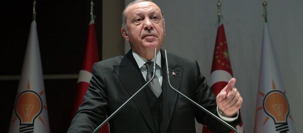 Recep Tayyip Erdoğan - Sputnik Türkiye