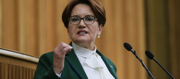 Meral Akşener Meral Akşener - Sputnik Türkiye
