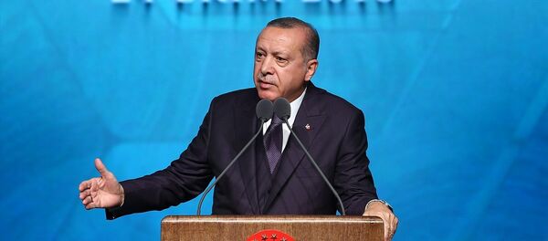 Recep Tayyip Erdoğan - Sputnik Türkiye