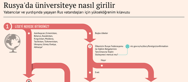 İnfografik - Sputnik Türkiye