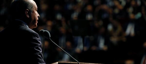 Recep Tayyip Erdoğan - Sputnik Türkiye