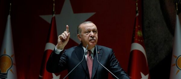 Recep Tayyip Erdoğan - Sputnik Türkiye