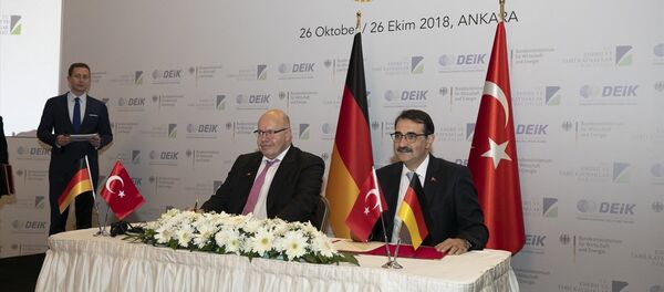 Fatih Dönmez - Peter Altmaier - Sputnik Türkiye