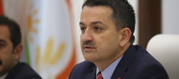 Bekir Pakdemirli - Sputnik Türkiye