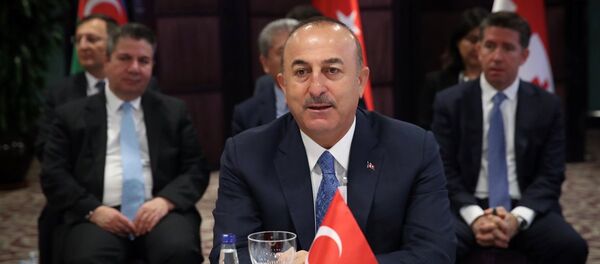 Mevlüt Çavuşoğlu - Sputnik Türkiye