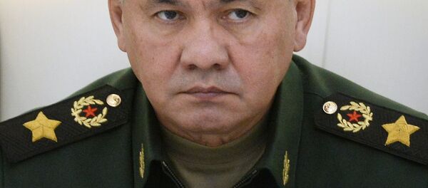 Rusya Savunma Bakanı Sergey Şoygu - Sputnik Türkiye