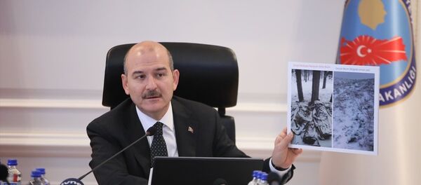 Süleyman Soylu - Sputnik Türkiye