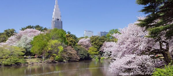 Shinjuku Gyoen ulusal parkı - Sputnik Türkiye