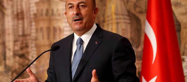 Mevlüt Çavuşoğlu - Sputnik Türkiye