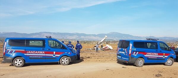 Antalya'nın Manavgat ilçesinde eğitim uçağı düştü - Sputnik Türkiye