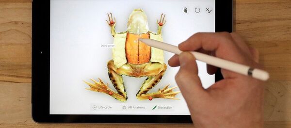 iPad 9.7 - Sputnik Türkiye