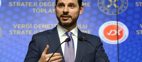 Berat Albayrak - Sputnik Türkiye