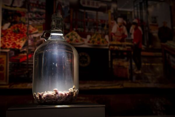 Dünyanın ilk 'İğrenç Yemek Müzesi' - Sputnik Türkiye