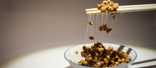 Dünyanın ilk 'İğrenç Yemek Müzesi' - Sputnik Türkiye