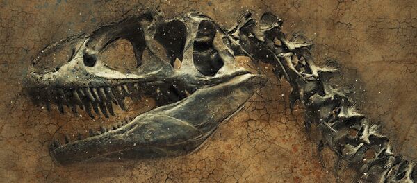 Dinosaur Dinosaur - Sputnik Türkiye