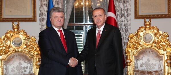 Türkiye Cumhurbaşkanı Recep Tayyip Erdoğan ve Ukrayna Devlet Başkanı Petro Poroşenko - Sputnik Türkiye