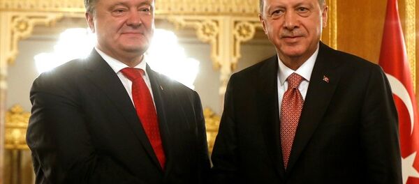 Türkiye Cumhurbaşkanı Recep Tayyip Erdoğan, Ukrayna Devlet Başkanı Petro Poroşenko - Sputnik Türkiye