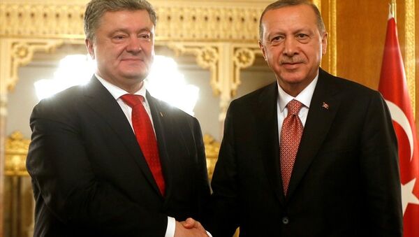 Türkiye Cumhurbaşkanı Recep Tayyip Erdoğan, Ukrayna Devlet Başkanı Petro Poroşenko - Sputnik Türkiye