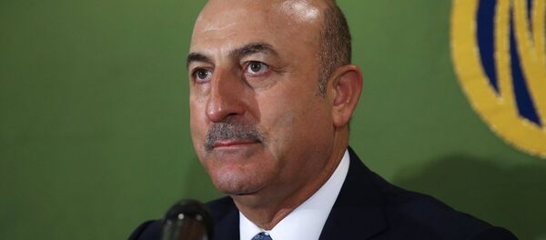Mevlüt Çavuşoğlu - Sputnik Türkiye