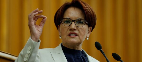 Meral Akşener - Sputnik Türkiye