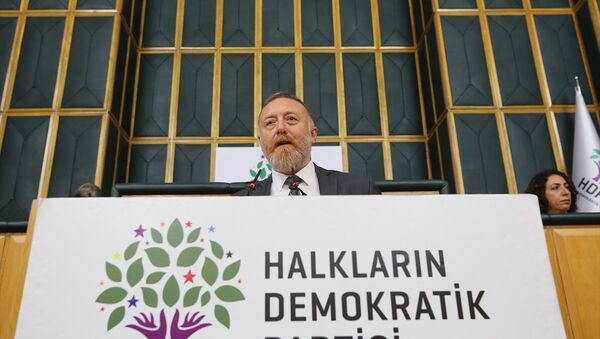 HDP Eş Genel Başkanı Sezai Temelli - Sputnik Türkiye