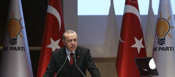 Recep Tayyip Erdoğan - Sputnik Türkiye