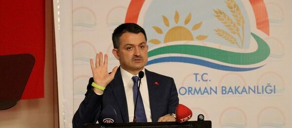 Tarım ve Orman Bakanı Bekir Pakdemirli - Sputnik Türkiye