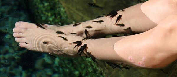 Sivas'ın Kangal ilçesinde ‘doktor balıklar’ olarak adlandırılan balıkların bulunduğu kaplıca - Sputnik Türkiye