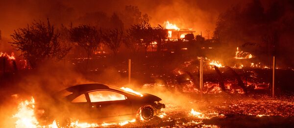 ABD'nin Kaliforniya eyaletinde yangın - Sputnik Türkiye