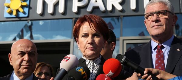 Meral Akşener - Sputnik Türkiye